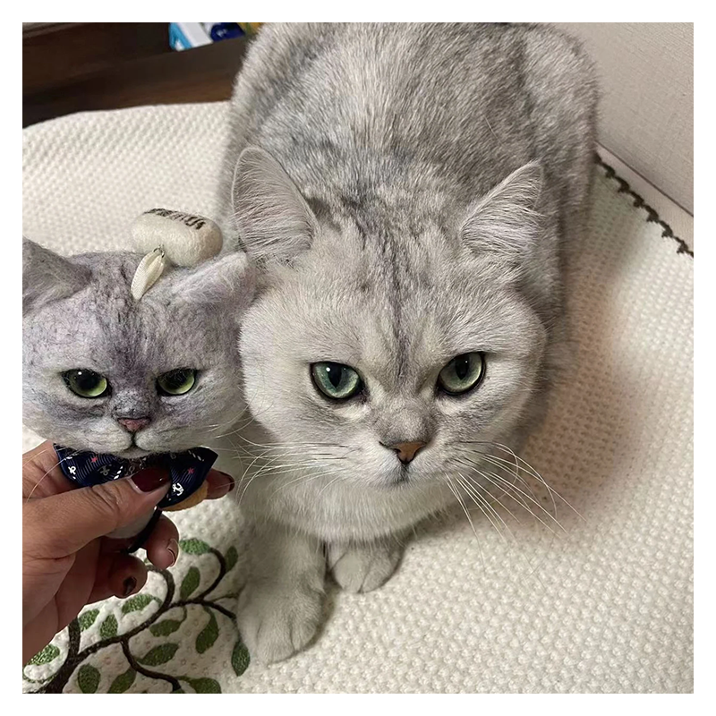 Wool Felt Heads For Pets