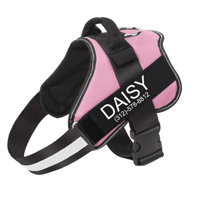 Dog Harness