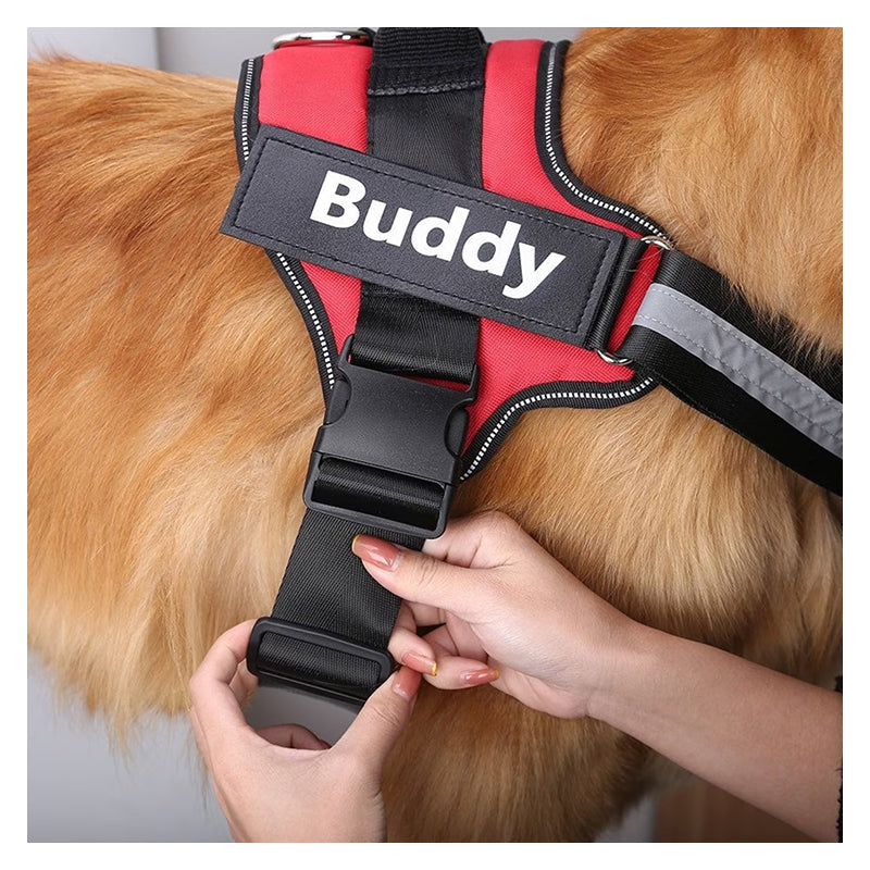 Dog Harness